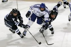 明尼苏达森林狼主帅放话：全运会决赛必胜达拉斯独行侠，辛纳冷笑回应